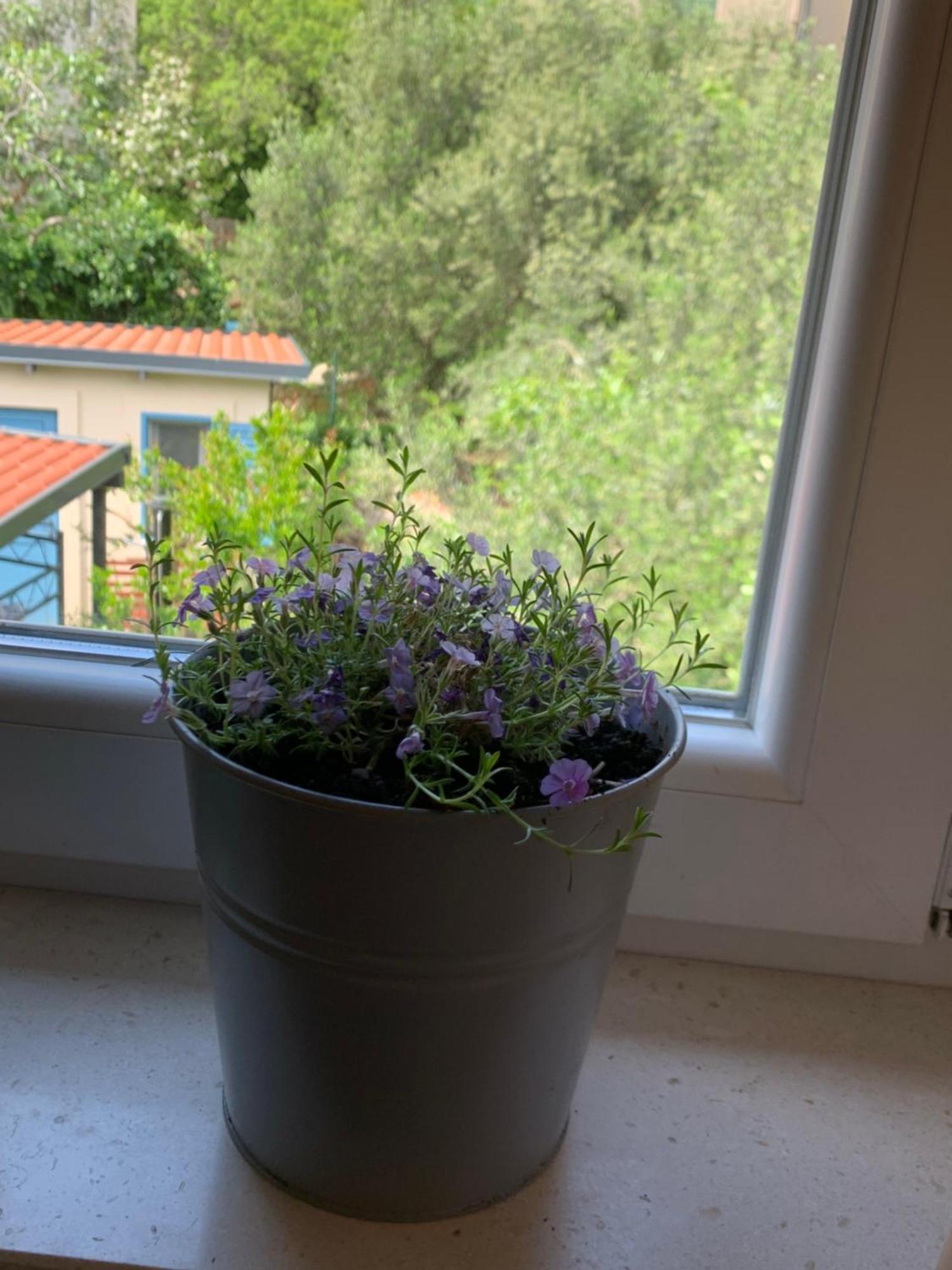 Apartament Klara&ivan Split